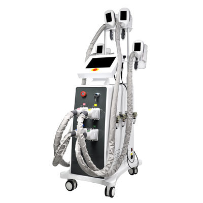 Παχύς cOem μηχανών 800W αδυνατίσματος Cryolipolysis παγώματος