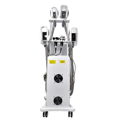 Παχύς cOem μηχανών 800W αδυνατίσματος Cryolipolysis παγώματος