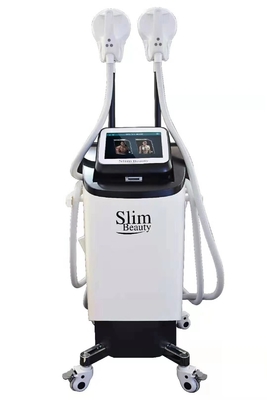 13 διεγερτικός  μυών μηχανών Sculpting σώματος Teslasculpt EMS