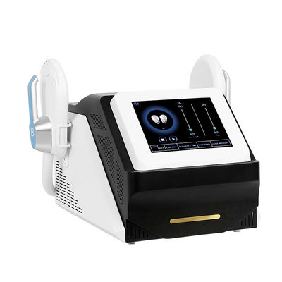 Ο μαύρος μυς μηχανών 3000W  ομορφιάς αδυνατίσματος χτίζει το σώμα  που περιγράφει τις διπλές λαβές