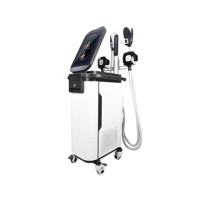 2 σε 1 μηχανή  4 Sculpting σώματος EMS Cryo μυϊκή μηχανή Estimulador λαβών
