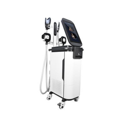 2 σε 1 μηχανή  4 Sculpting σώματος EMS Cryo μυϊκή μηχανή Estimulador λαβών